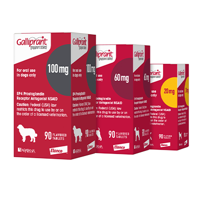 Galliprant cheap anti inflammatory